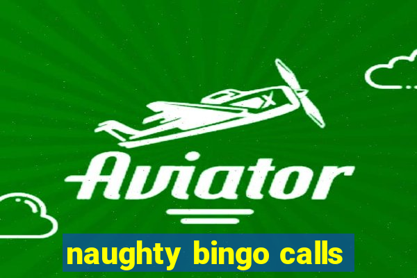 naughty bingo calls