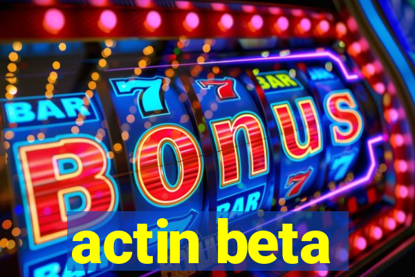 actin beta