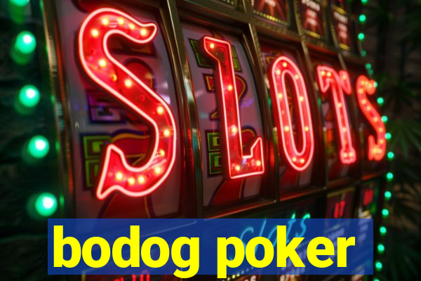 bodog poker