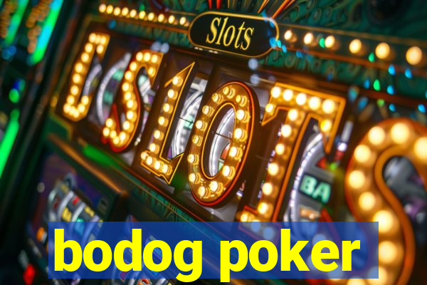 bodog poker