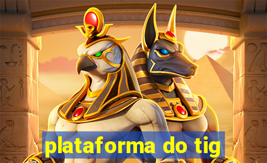 plataforma do tig