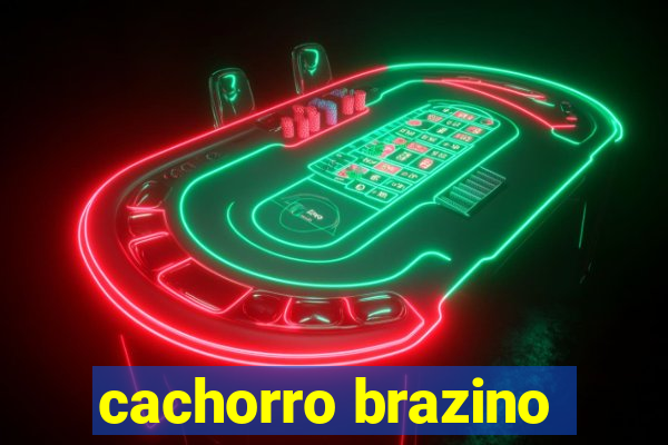 cachorro brazino