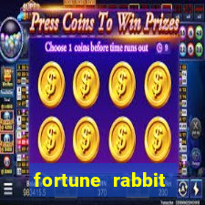 fortune rabbit conta demoInformational