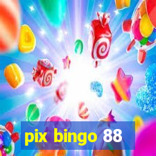 pix bingo 88