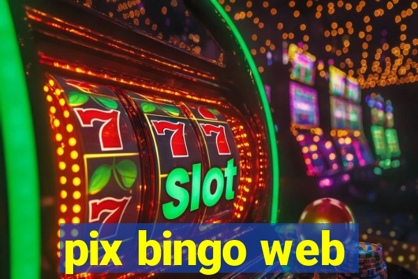 pix bingo web