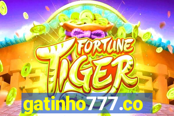 gatinho777.co