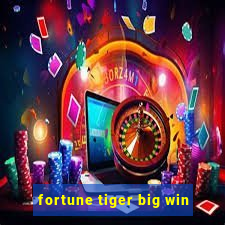 fortune tiger big win