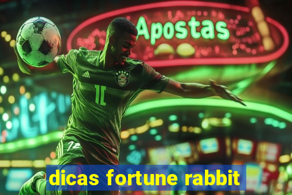 dicas fortune rabbit