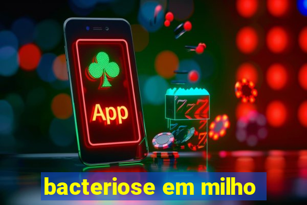 bacteriose em milho