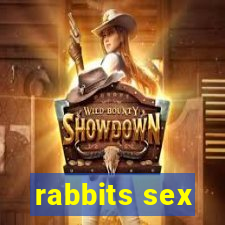 rabbits sex