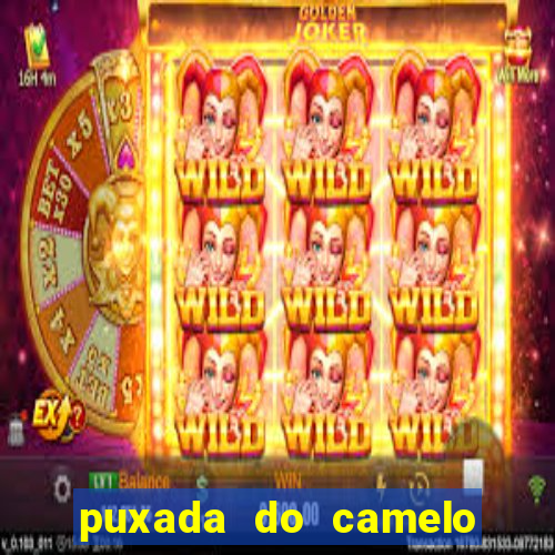 puxada do camelo no jogo do bicho