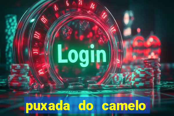 puxada do camelo no jogo do bicho