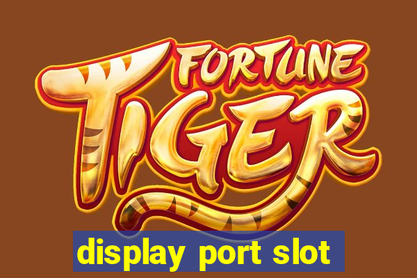 display port slot