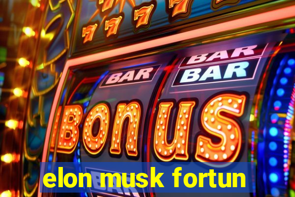 elon musk fortun