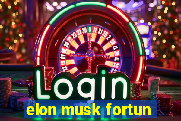 elon musk fortun