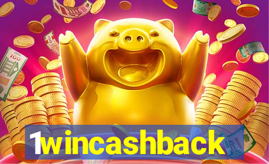 1wincashback