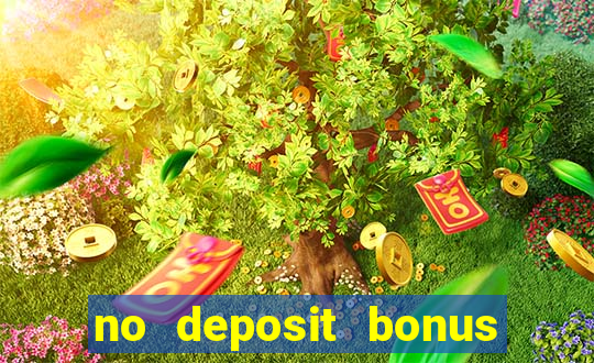 no deposit bonus online casino