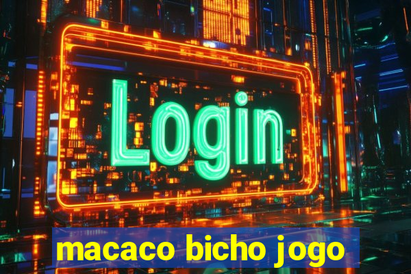 macaco bicho jogo