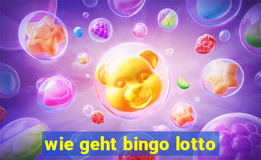 wie geht bingo lotto