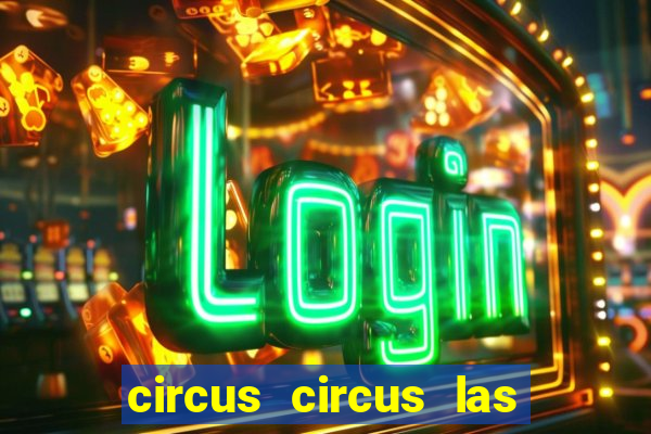 circus circus las vegas hotel and casino