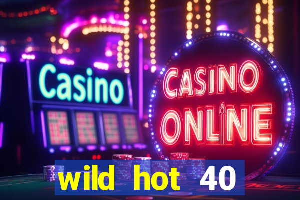 wild hot 40 christmas slot