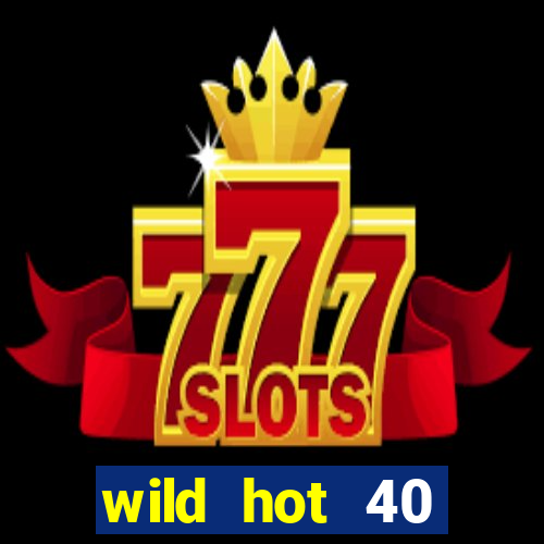 wild hot 40 christmas slot