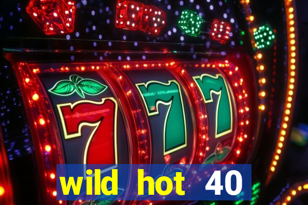 wild hot 40 christmas slot