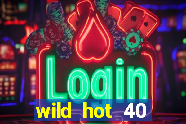 wild hot 40 christmas slot