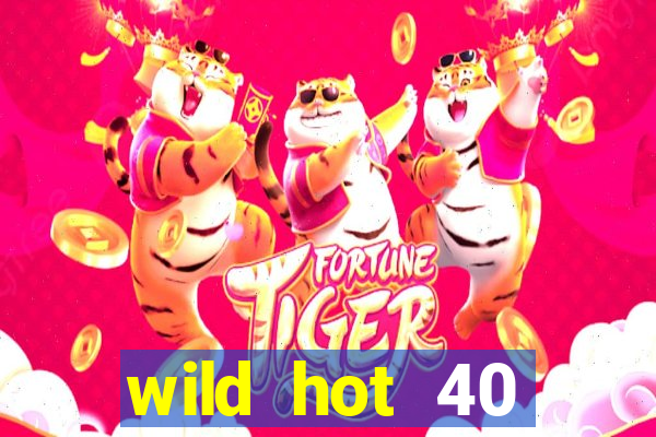 wild hot 40 christmas slot