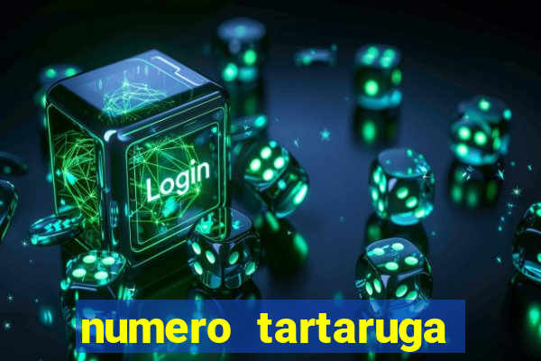 numero tartaruga jogo do bicho