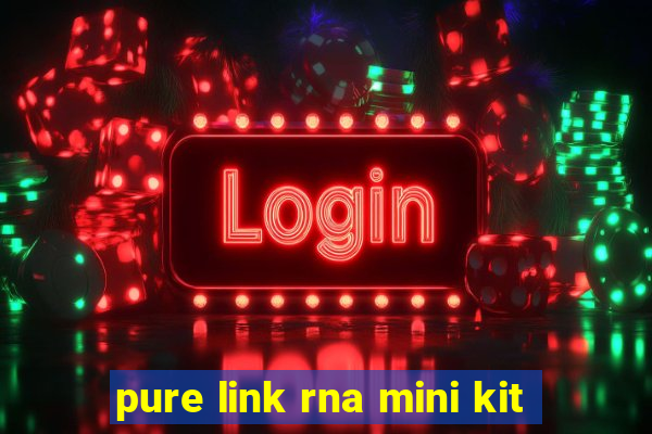 pure link rna mini kit