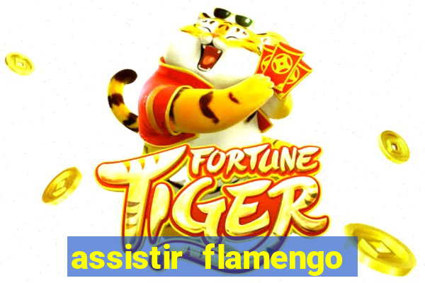 assistir flamengo futebol play hd