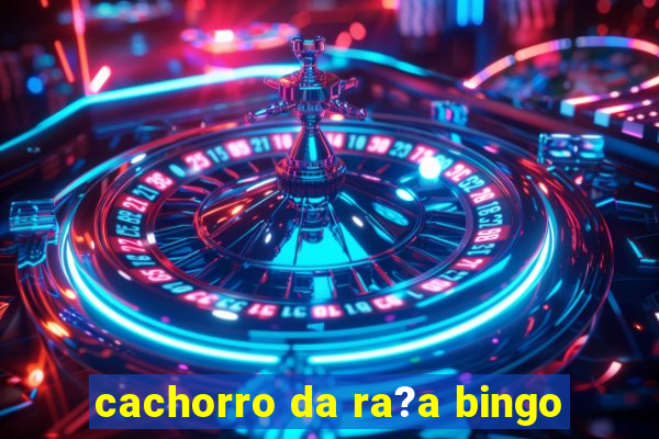 cachorro da ra?a bingo