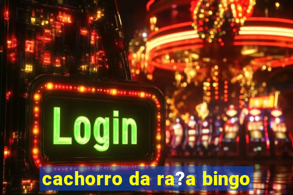 cachorro da ra?a bingo