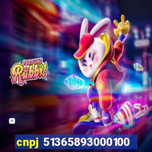 cnpj 51365893000100