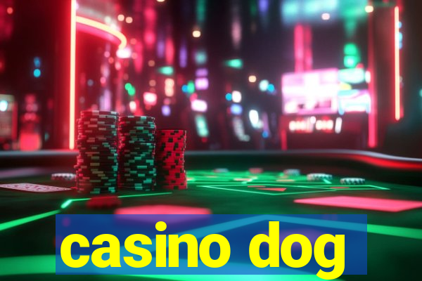 casino dog