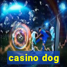 casino dog