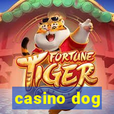 casino dog