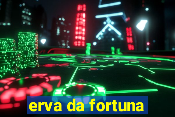 erva da fortuna