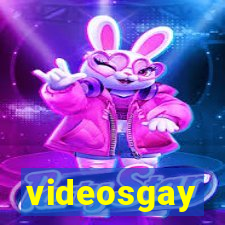 videosgay