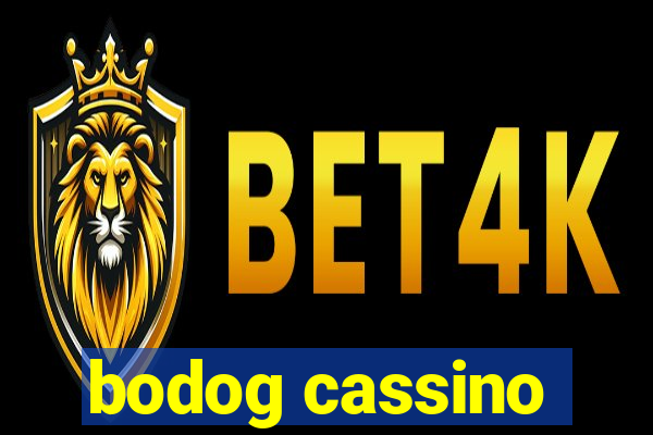 bodog cassino