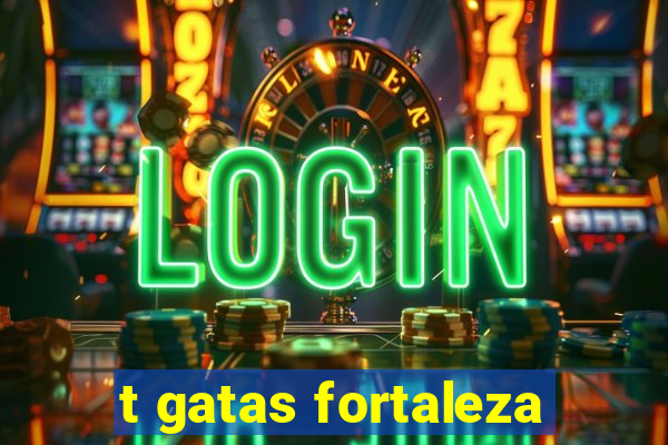 t gatas fortaleza