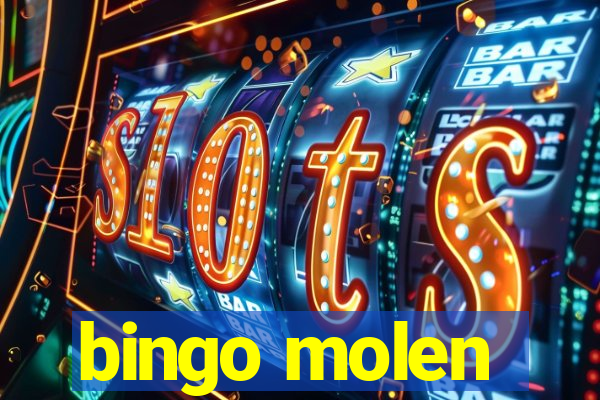 bingo molen