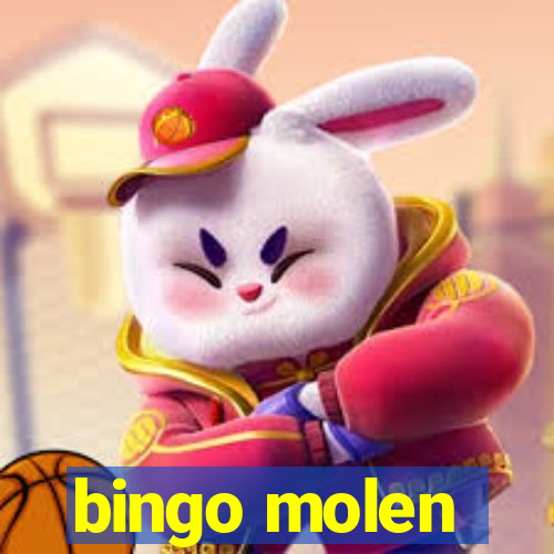 bingo molen