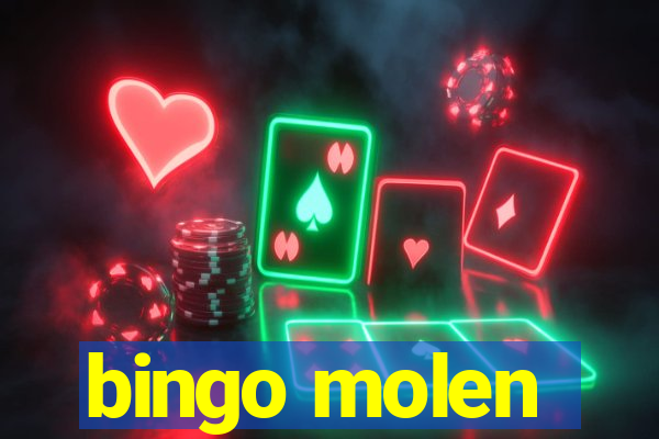 bingo molen