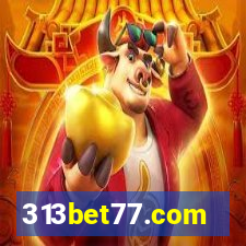 313bet77.com