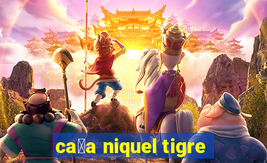 ca莽a niquel tigre