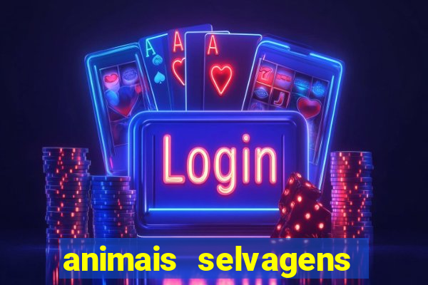 animais selvagens fotos e nomes