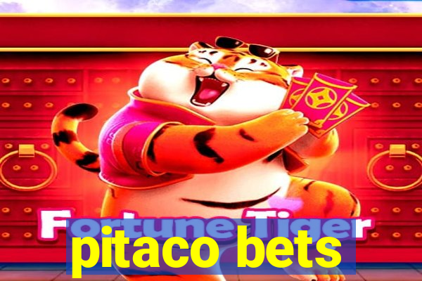 pitaco bets