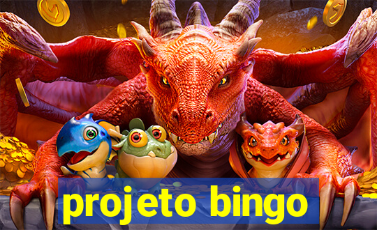 projeto bingo